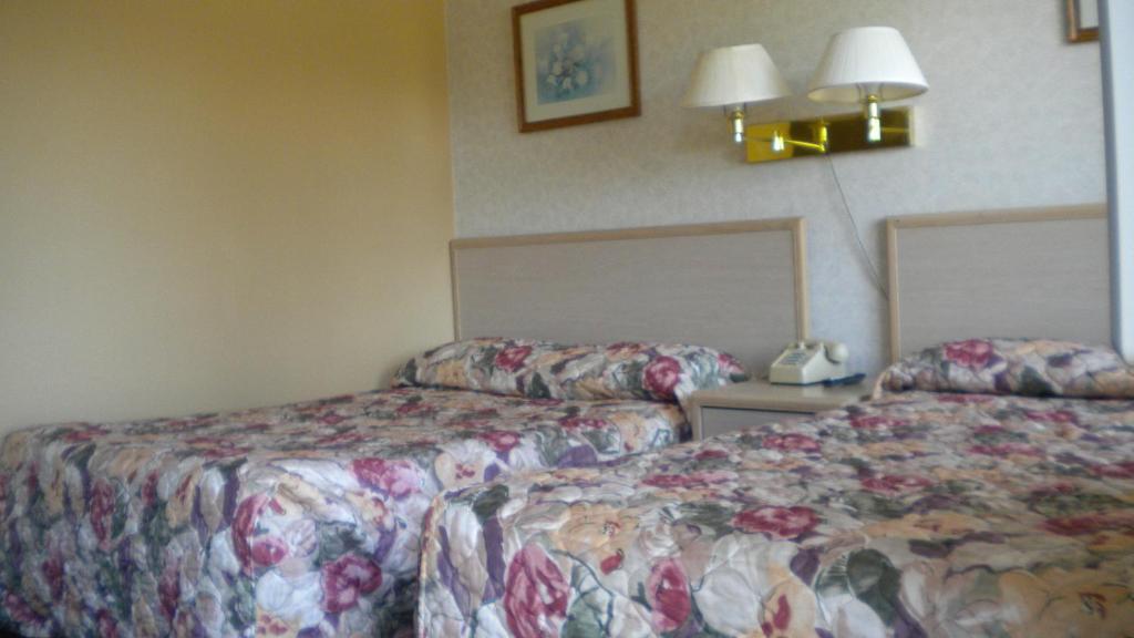 Studio 6 Suites - Albany, Or ห้อง รูปภาพ